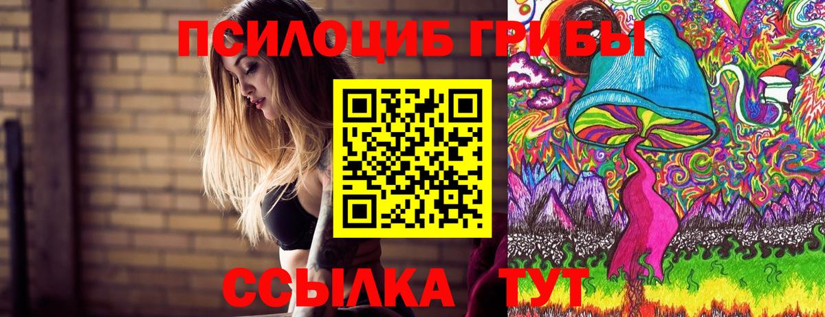 Галлюциногенные грибы Magic Shrooms  Галлюциногенные грибы прущие грибы  Новосибирск  Вход с VPN 