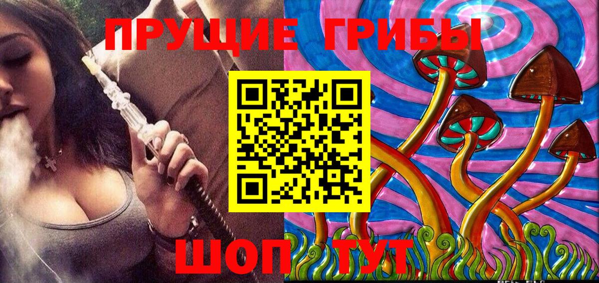 Галлюциногенные грибы Psilocybe Новосибирск